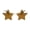 Coffee, variant on Under $5 Star Sunglasses for Women Five Point Star Shades Colorful Transparent Novelty Party Sun Glasses Festival Rave Club Photo Booth Birthday Eyewear Rimless Frameless
