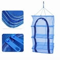 thumbnail image 3 of Hanging Drying Food Dry Net 4 Layer Shelf Hang Cages Fish Folding Mesh Shelves, 3 of 6