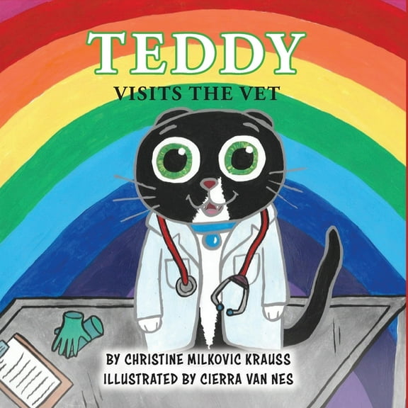 Adventures of Teddy Teddy Visits The Vet, Book 4, (Paperback)