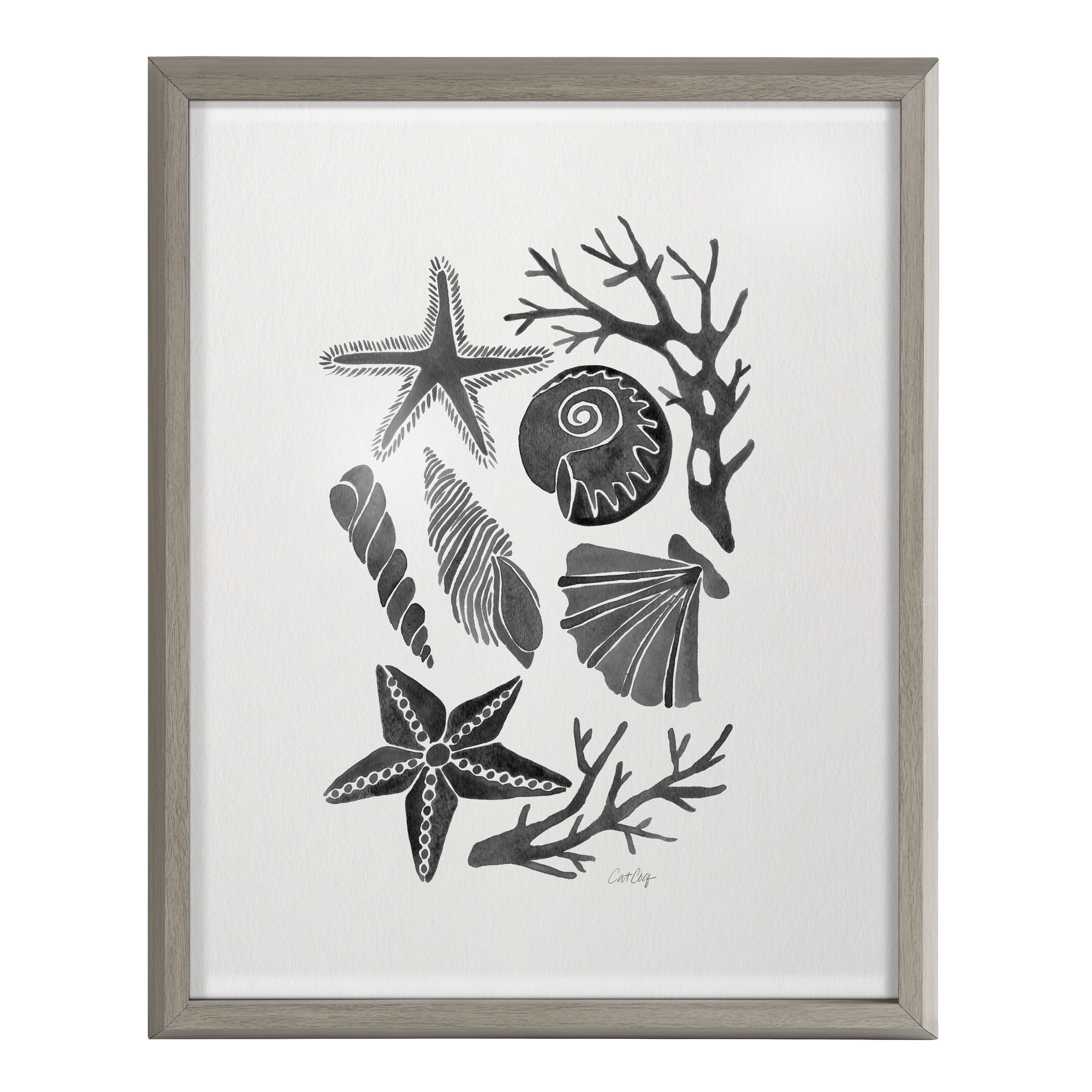 Kate and Laurel Blake Seashells Black Framed Printed Glass Wall Art by Cat Coquillette, 16x20 Gray, Decorative Coastal Art for Wall