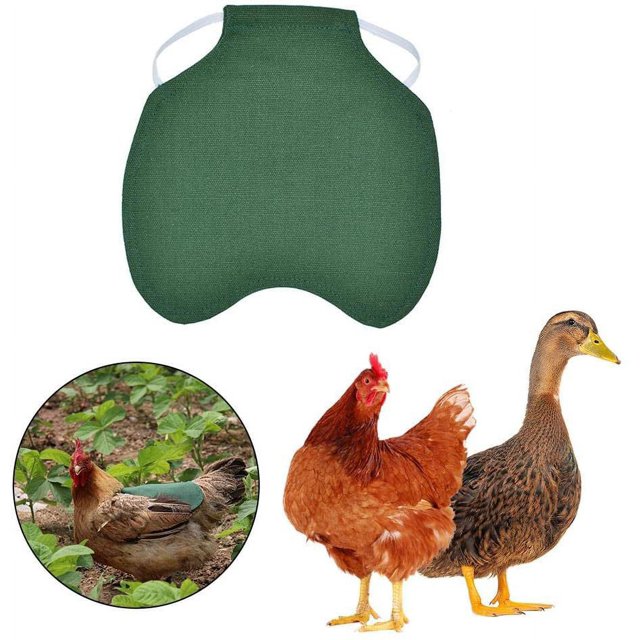 Delantal de pollo con una sola correa/chaleco de silla Protección de ala de pato de gallina Chaquetas de pollo estándar Delantales de gallina Accesorios para el cuidado de aves de corral 5 piezas-Verde ER
