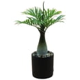 thumbnail image 1 of Realistic Artificial Twinkling Tree Lamp Usb Powered Twinkling Decor Lamp with Soft Glow Ideal for Home Bedroom & Tropical Event De, 1 of 5