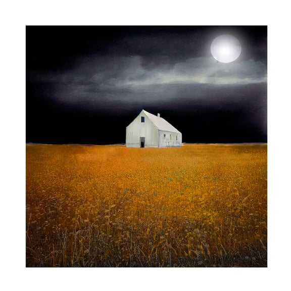 Canvas Wall Art - Sasha 'Black Night Harvest' Wall Art for Living Room, Bedroom, or Office Décor by Trademark Fine Art - 14 x 14 Inches