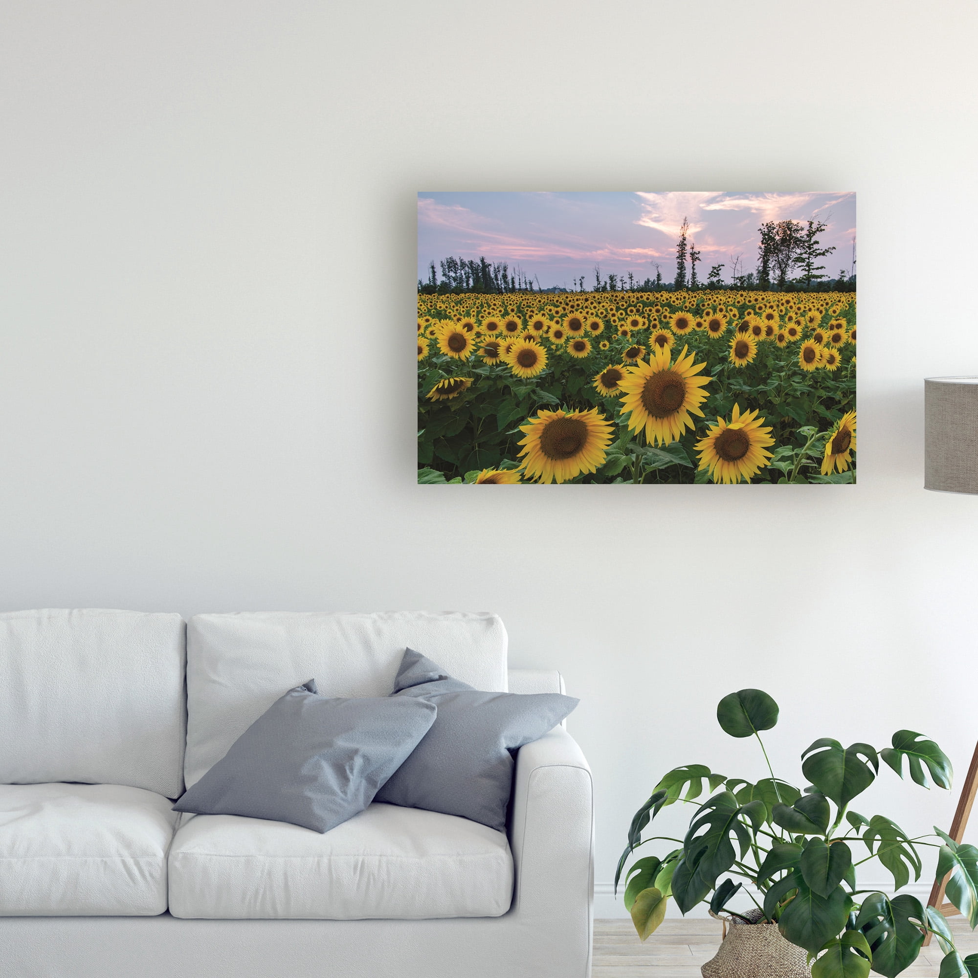 Trademark Fine Art 'Sunflowers of Hope' Canvas Art by Kurt Shaffer