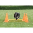 thumbnail image 6 of TRIXIE Dog Agility Hurdle Cone Set, Portable Canine Agility Training Set, 6 Exercise Cones with 3 Agility Rods, 6 of 9