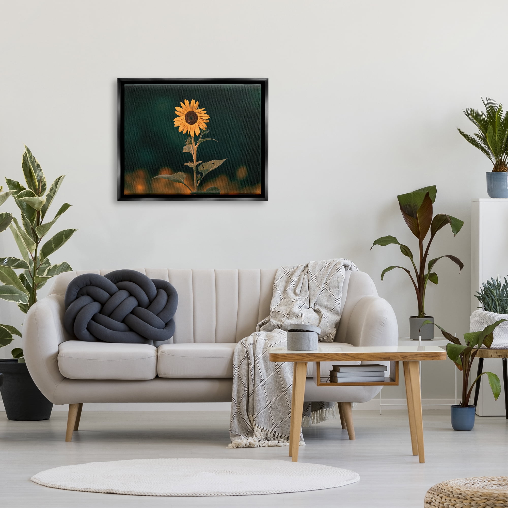 Stupell Industries Dark Sunflower Nature Botanical & Floral Photography Black Floater Framed Canvas Art Print Wall Art, 31 x 25