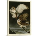 thumbnail image 1 of ARTCANVAS Barn Owl Canvas Art Print by John James Audubon - Size: 40" x 26" (0.75" Deep), 1 of 9