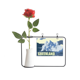 thumbnail image 1 of Océano Ártico Botella de decoración de jarrones colgantes de flores rosas artificiales, 1 of 3