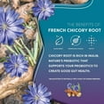 thumbnail image 6 of Teeccino Dandelion Herbal Tea - Dark Roast - Caffeine Free, Prebiotic, Gluten Free, 3x More Herbs - 25 Tea Bags, 6 of 7