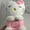 Pink KT, variant on New Breath Sound Light Cute Kitty Cat KRM Coaxing To Sleep Music Soothing Action Figure Doll KT Plush Doll Comfort Toy