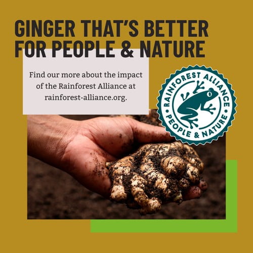 Bart Ginger 35g, British Import (Pack of 2)