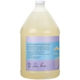 thumbnail image 3 of Jabón líquido para platos Ginger Lily Farms, 1 galón (1280 ml), 3 of 6