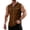 Coffee, variant on Sleeveless Shirts for Men Summer Casual Solid Color Tank Tops with Pockets Stretch Beach Vacation Lounge Button Down Tops Light Green 2XL