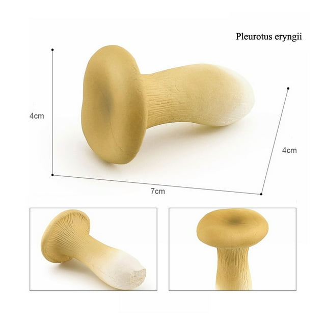 Simulation Montessori Around The World Building Mountain Plant Vegetable Fungi Mushroom Matsutake Model Figures Collection Toys