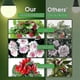 thumbnail image 5 of LED Grow Lights A19 Full Spectrum for Indoor Plants E26 - Plant Growing Light Bulb, 5 of 5