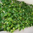 thumbnail image 5 of 78Ft 12pcs Silk Artificial Ivy Vine Hanging Leaves Plant Greenery Decor Party Home Garden Wedding Wall Decor (Scindapsus), 5 of 5