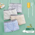thumbnail image 1 of Calzoncillos para niños de 8 a 12 años, de material modal, sin costuras, cómodos, sin dejar rastro, 1 of 4
