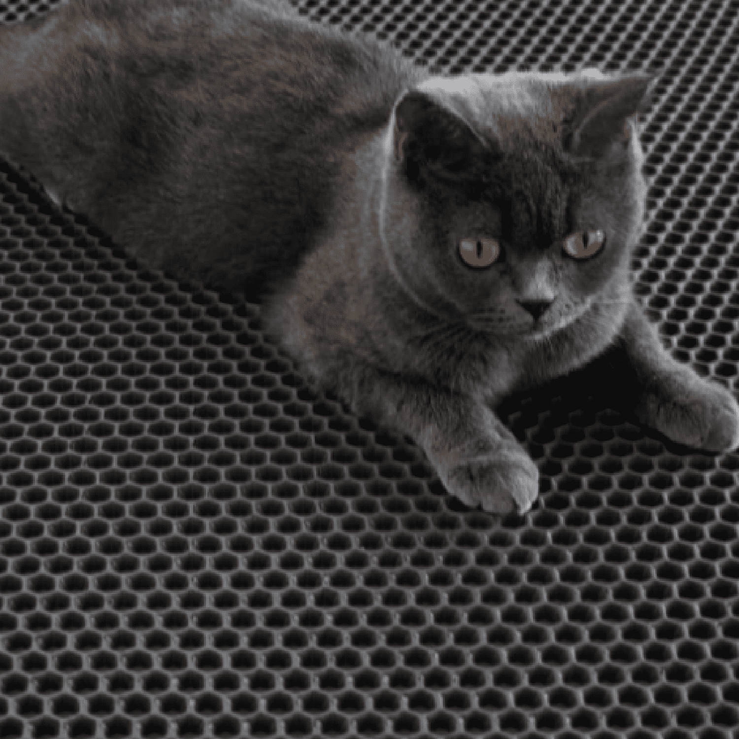 Cat Litter Box Mat: 36"x 30" Waterproof Kitty Cat Litter Trapping Mat, Easy-clean Double-layer Scatter Control Pad Rug (Black)