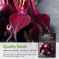 thumbnail image 4 of 3 packs Detroit Dark Red Beet Seed - Non-GMO Heirloom Full Sun Biennial Vegetable, 4 of 8