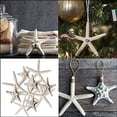 thumbnail image 2 of Nautical Crush Trading Nautical Beach Wedding Starfish Wall Decor, Set of 10, 2 of 6