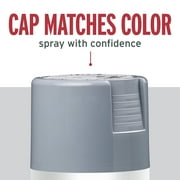 Smoke Gray, Rust-Oleum Stops Rust Protective Enamel Gloss Spray Paint-7786830, 12 oz