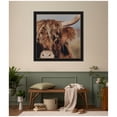 thumbnail image 2 of Kate and Laurel Framed Wall Art Print Nosy Highland by Laura Evans, 36 x 36, Manhattan Black Frame, Rustic Farmhouse, Animal Art for Wall Decor, 2 of 8