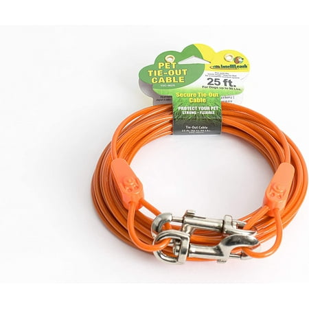 UPC: 0855198007184 | IntelliLeash Products Tie-Out Cable for Dogs. Multiple Sizes and Weight Ratings Available for Small Medium and Large Sized Dogs up to 250 Pounds.