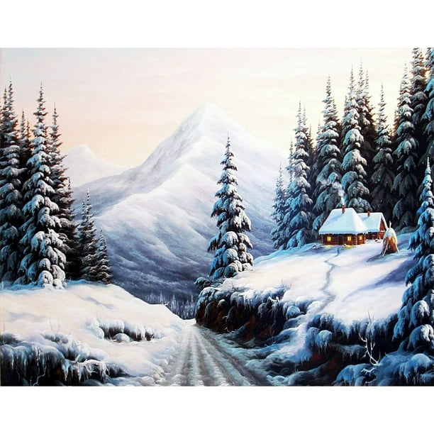 Pintura de diamante (DE2335) 5D DIY Square Snow Village Resina Rhinestone 30x40cm FLhrweasw Nuevo