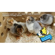 Cackle Hatchery Laying Hen Nest Box Pads - 10 Pack