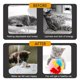 thumbnail image 5 of Juguetes de Gato Interactivos 15pcs Juguetes de Gatito Conjunto Juguetes de Gato Interactivos para Gatos Interiores Con Túnel de Gato TÚNEL TÚNEL INTERACTIVO DE GATO DE GATO, 5 of 7