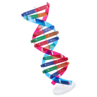 Carolina DNA Necklace Kit - Cheek Cell DNA Extraction Lab Activity For 32 Students, NGSS Aligned, Create Wearable DNA Pendant - Classroom Science Experiment