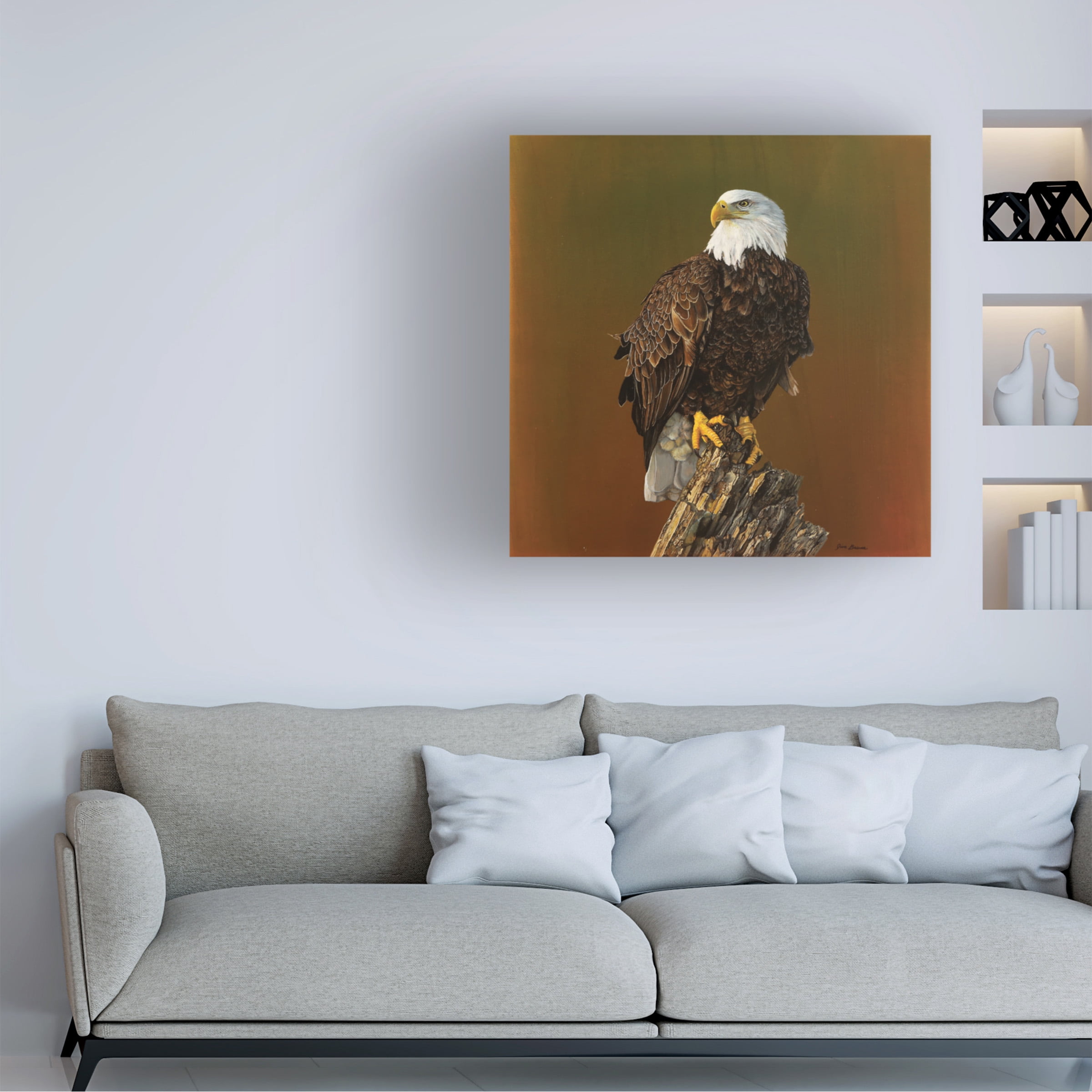 Canvas Wall Art - Jim Brune 'Proud Bald Eagle' Wall Art for Living Room, Bedroom, or Office DÃ©cor by Trademark Fine Art - 35 x 35 Inches