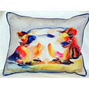 Betsy Drake ZP157 Hippo Indoor & Outdoor Throw Pillow- 20 x 24 in.