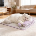thumbnail image 4 of Klonfd 1 Pce Tapis d'Été Tapis de Glace d'Été Réutilisable et Soulageant l'Anxiété, 4 of 6