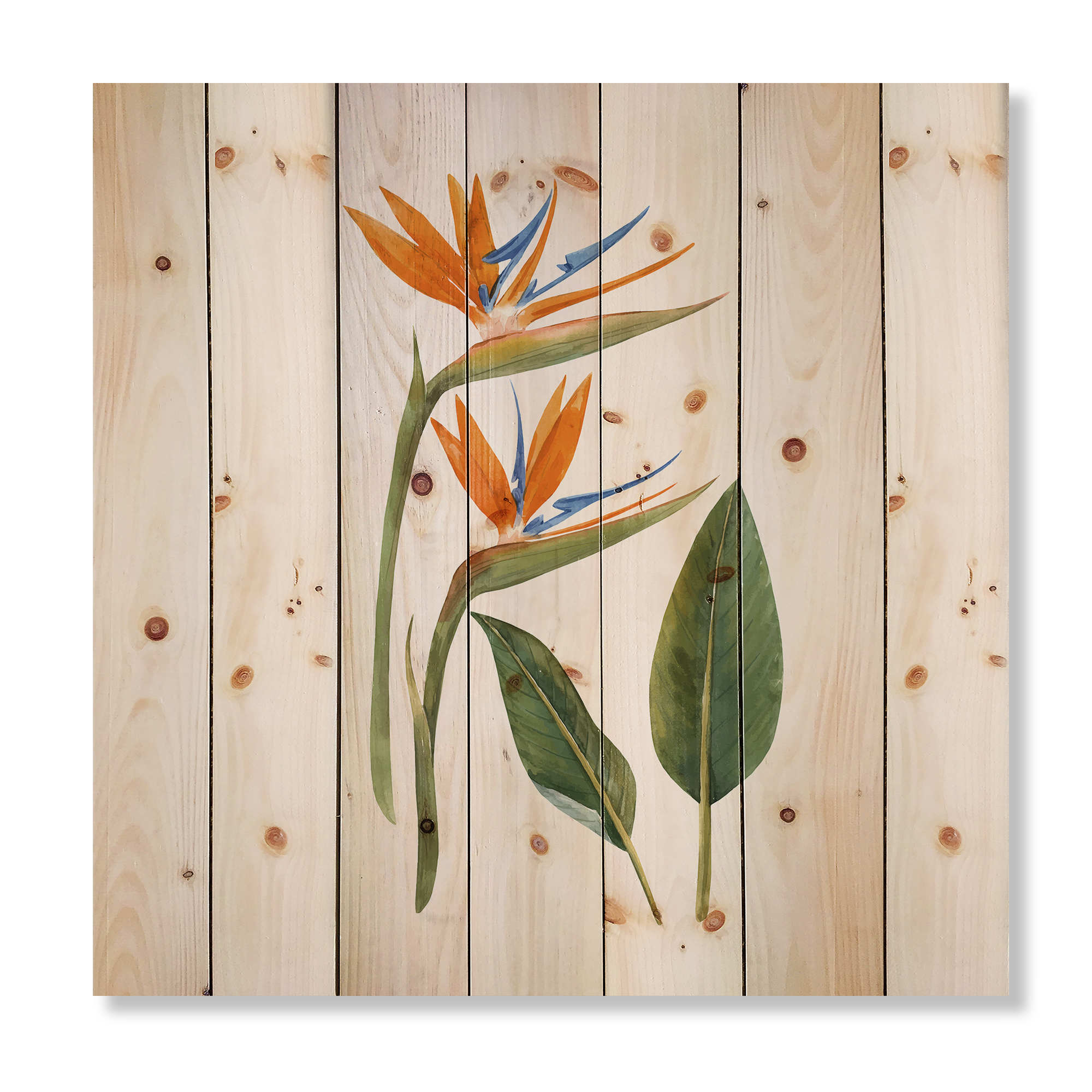 Designart 'Ancient Strelitzia Flowers' Traditional Print on Natural Pine Wood