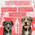 thumbnail image 4 of Nuesta Alaskan Salmon Oil for Dogs & Cats, Omega-3 Skin & Coat Supplement, 2 Pack, 10 oz, 4 of 9