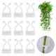 thumbnail image 1 of 50pcs Plant Clips For Climbing Plants, Plant Wall Fixture Clips, Self Adhesive Invisible Wall Vines Fixer Sticky Plant Hooks, 1 of 5