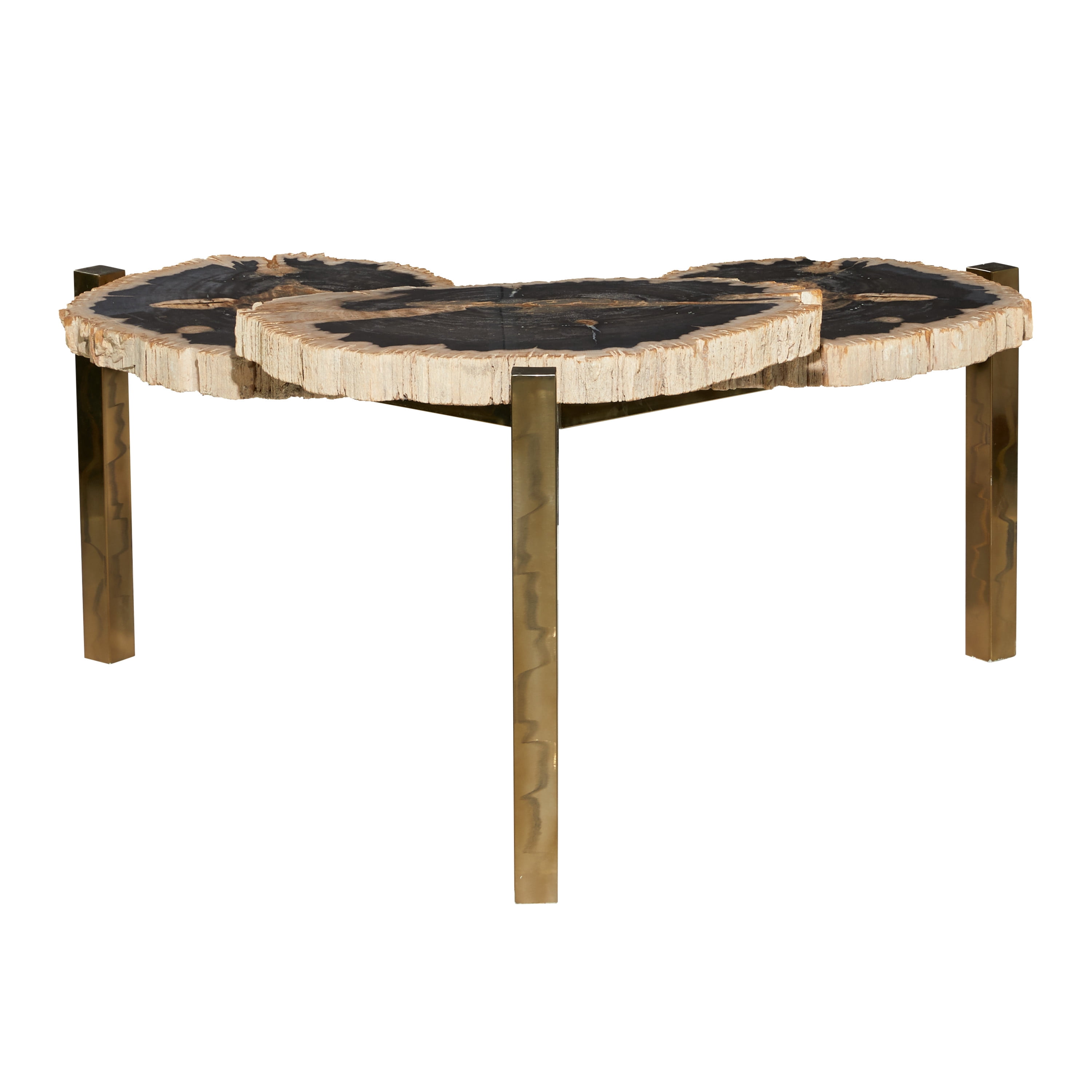 DecMode 40" x 19" Brown Petrified Stone Handmade Petrified Wood Coffee Table with Gold Base, 1-Piece