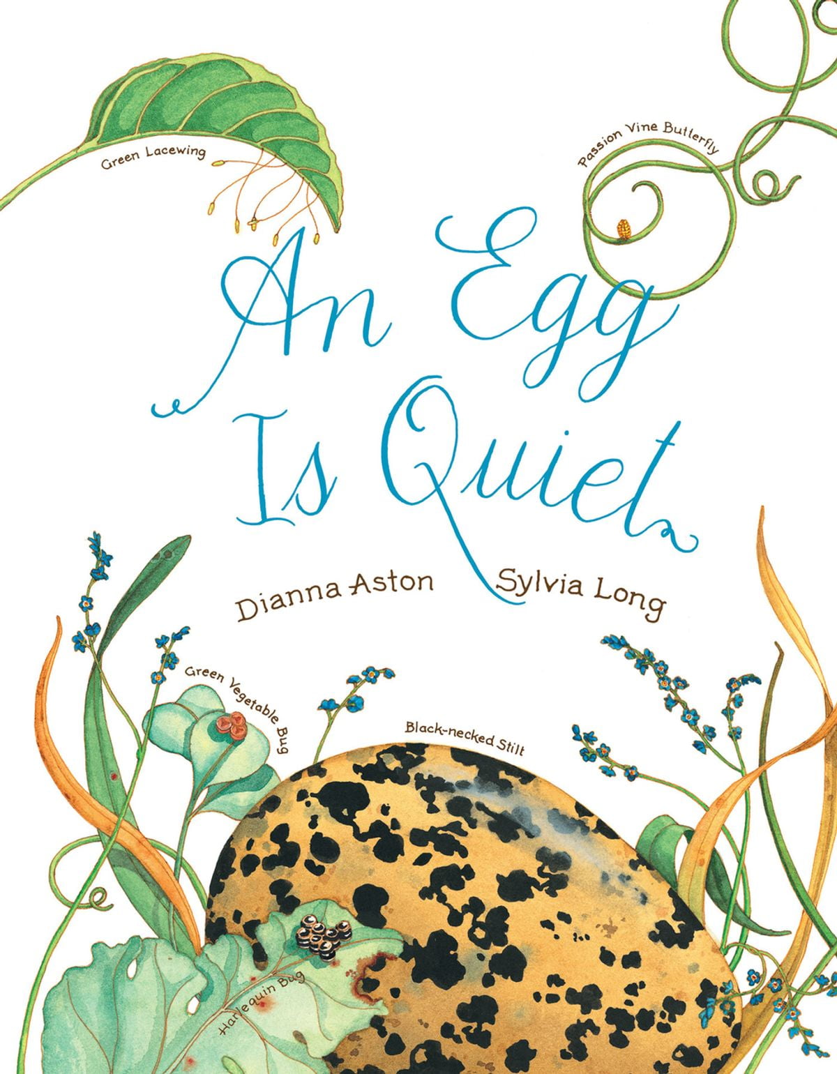 an egg is quiet by dianna aston an egg is quiet by dianna aston