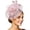 Pink, variant on Gtoiithly Vintage-Inspired Pillbox Hat with Feather Accents, Elegant Formal Headwear for Bridal Events, Mother of the Bride & Royal Weddings Beige