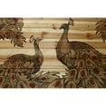 thumbnail image 3 of Peacock Partner Bold II Painting Print on Natural Pine Wood, 3 of 5