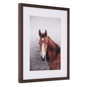 Crystal Art Gallery Horse Art Print Equine Framed Wall Art 15" x 19"