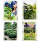 thumbnail image 3 of Gardening Tools, 3 Pieces Garden Tools, Gardening Tool Set, Stainless Steel Garden Tool Sets, For Farm, Garden Plants Indoor Outdoor, 3 of 5