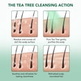 thumbnail image 4 of Botanic Hearth Tea Tree Shampoo and Conditioner Set - with 100% Pure Tea Tree Oil, for Itchy and Dry Scalp, Sulfate Free, Paraben Free - for Men and Women - 2 bottles 16 fl oz each, 4 of 10