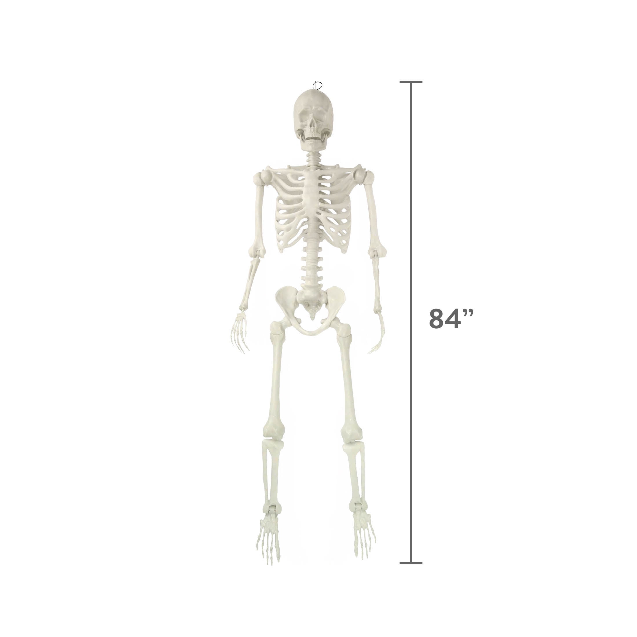 Hanging Posable Skeleton Decoration, White, 7', Halloween by Way To Celebrate
