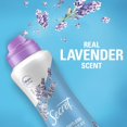 thumbnail image 2 of Desodorante antitranspirante Secret Dry Spray Relajante Lavanda, 2 of 8