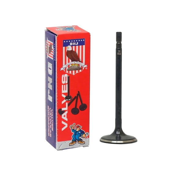 DNJ IV656A Intake Valve Set Fits Cars & Trucks 2013-2018 Nissan Altima 3.5L V6 3498cc 24V DOHC