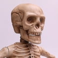 thumbnail image 3 of Halloween Skeleton Animation Props Indoor & Outdoor Dancing Skeleton Halloween Skeleton Decoration L, 3 of 4