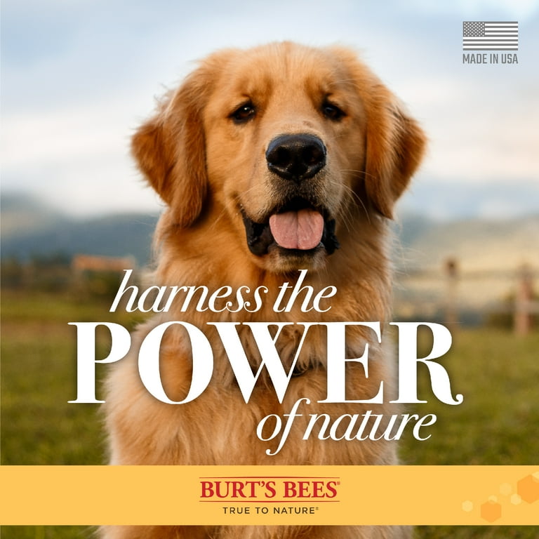 Burt's bees shop paw and nose