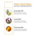 thumbnail image 5 of RATAPLAN Suero calmante de perejil y agua, paquete de 2, cuidado de la piel coreano con ácido hialurónico, aloe centella asiática, árbol de té, hoja de corazón, reduce el calor de la piel, hipoalergén, 5 of 5
